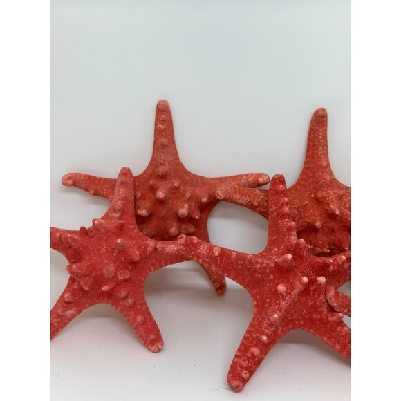 Red Decorative Starfish Set of 8 - 5" Textured Coastal Beach Nautical Decor - Picture 9 of 10